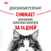 Сухой корм Royal Canin Hairball Care (ХЭЙРБОЛЛ КЭА) 10 кг